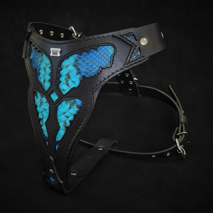 The ''Morelia Python'' harness Harnesses
