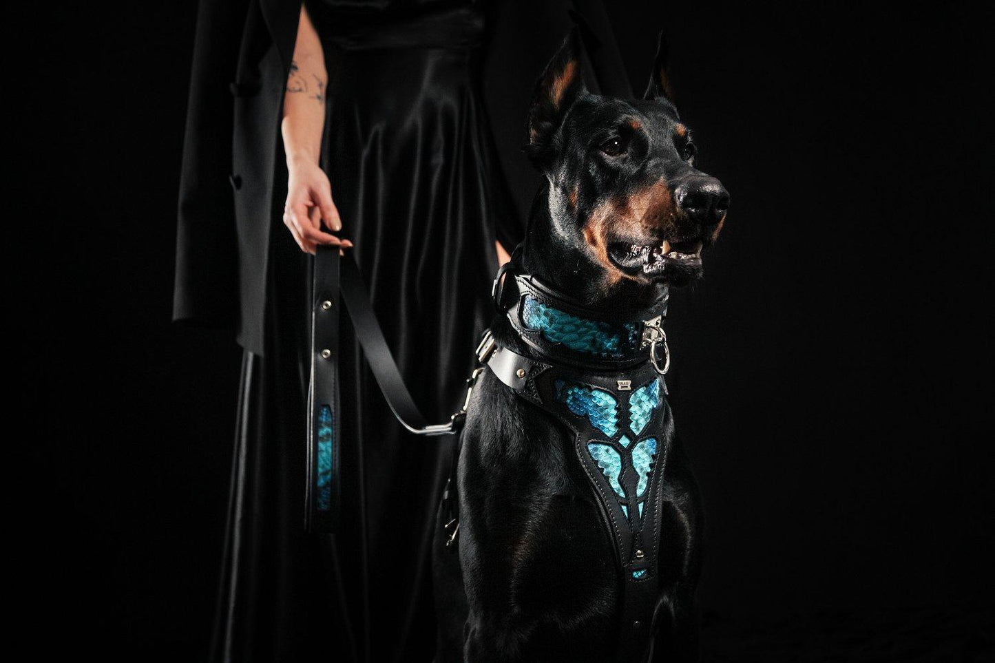 The ''Morelia Python'' leash Leads & Head Collars