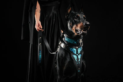 The ''Morelia Python'' leash Leads & Head Collars