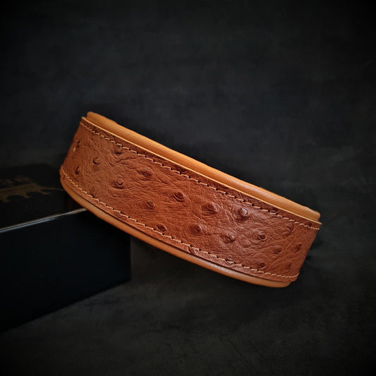 The "Ostrich" collar LIMITED Collars
