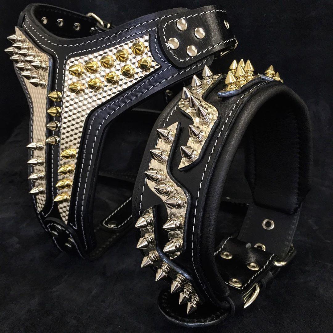 The „Platinum“ collar Collars