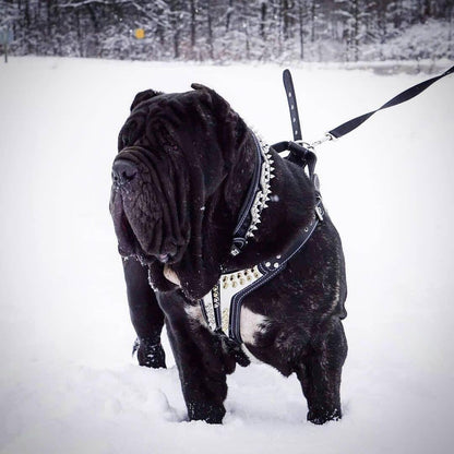 The ''Platinum'' harness Harnesses