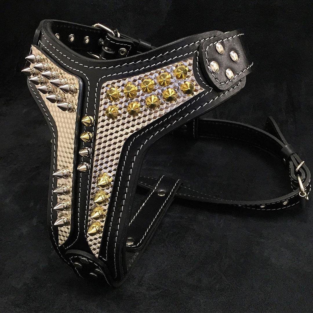 The ''Platinum'' harness Harnesses