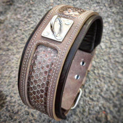 The ''Python'' exclusive design Collars