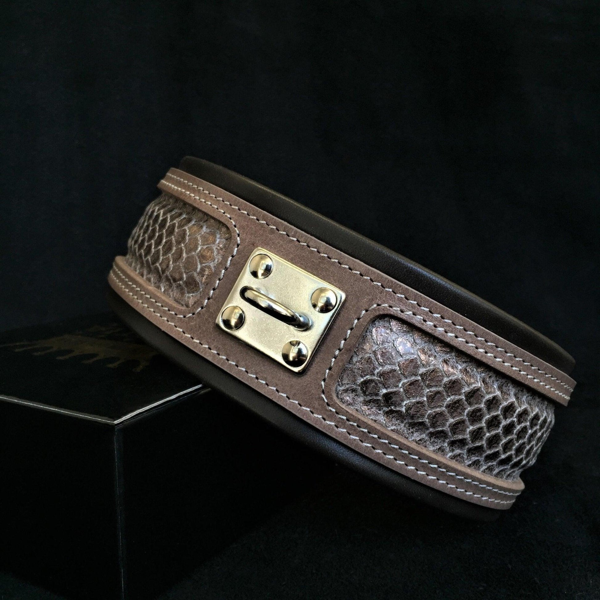 The ''Python'' exclusive design Collars