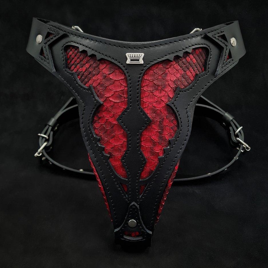 The ''Red Dragon'' harness Harnesses