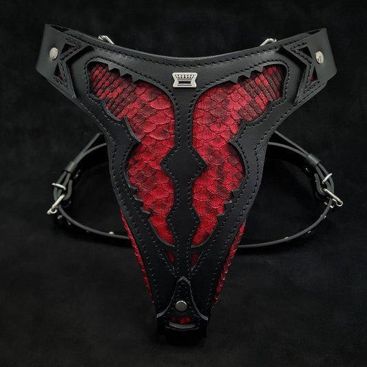 The ''Red Dragon'' harness Harnesses