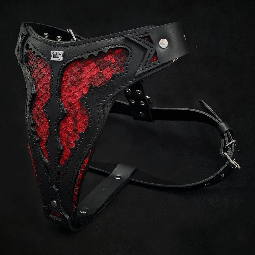 The ''Red Dragon'' harness Harnesses