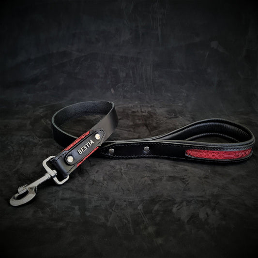 The ''Red Dragon'' leash Leads & Head Collars