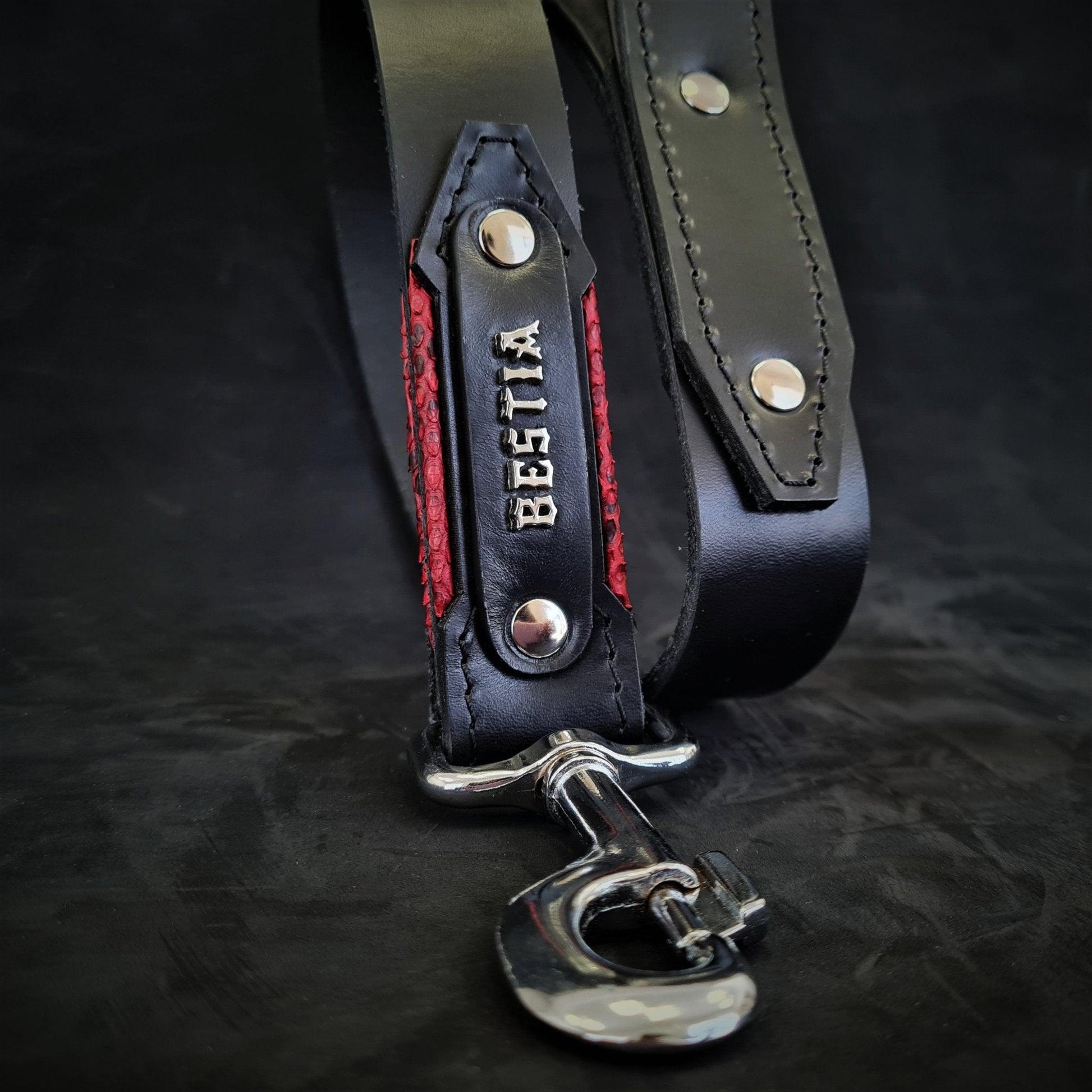 The ''Red Dragon'' leash Leads & Head Collars