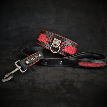 The ''Red Dragon'' leash Leads & Head Collars