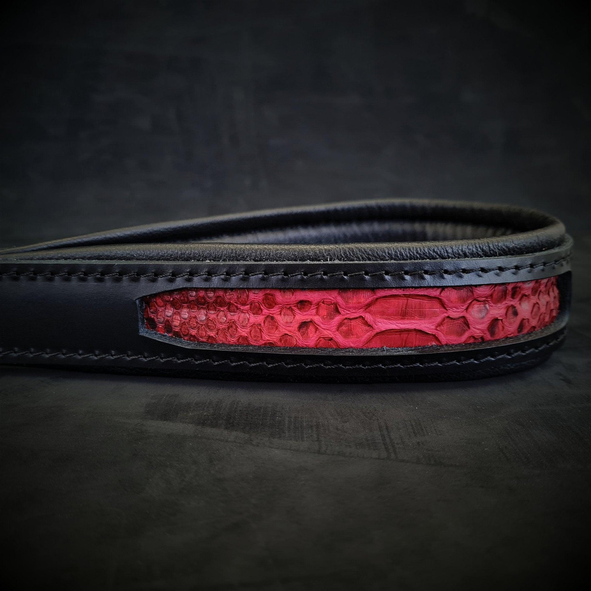 The ''Red Dragon'' leash Leads & Head Collars