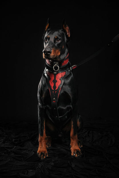 The ''Red Dragon'' leash Leads & Head Collars