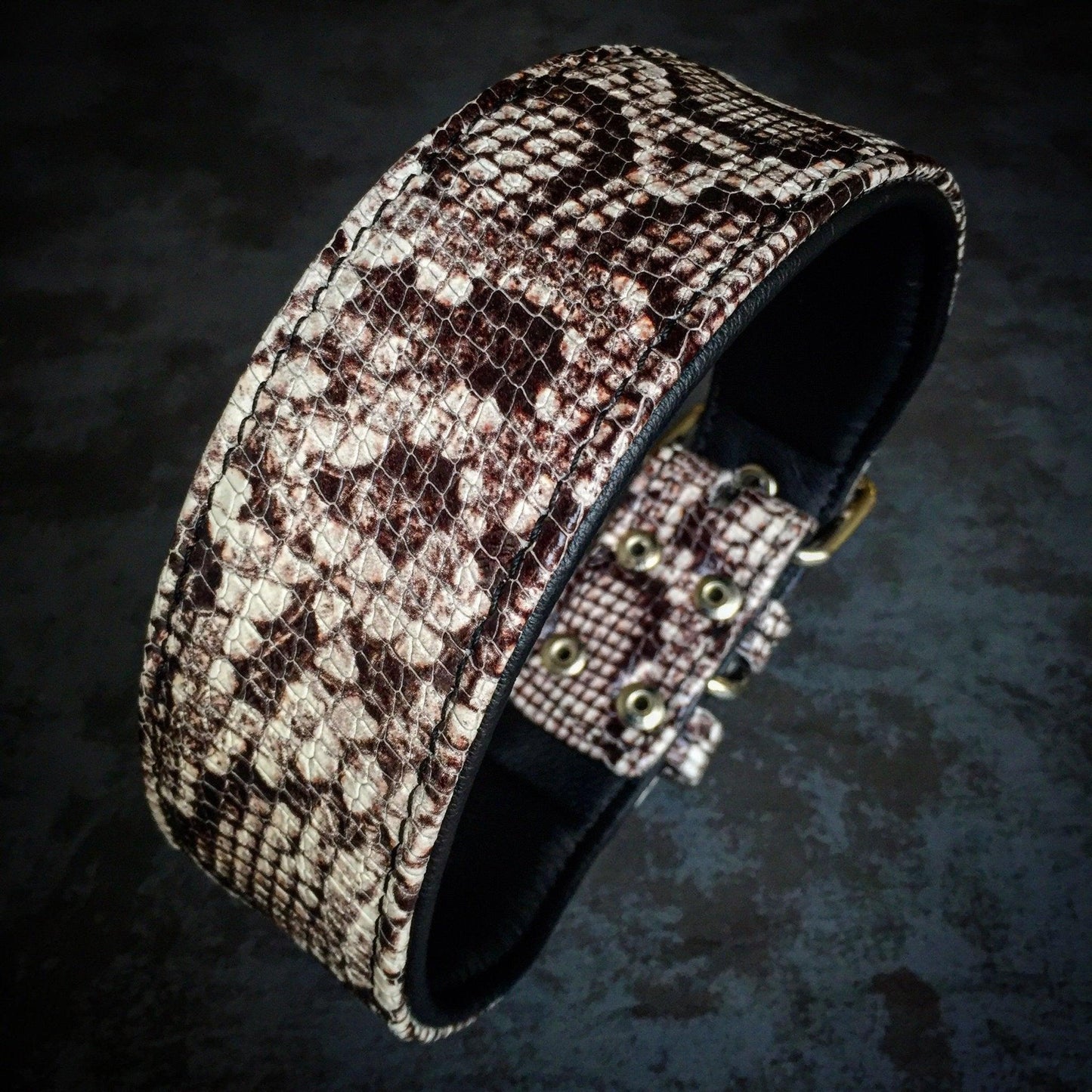 The „Rock Python“ collar Collars