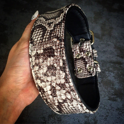 The „Rock Python“ collar Collars