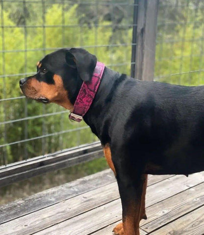 The „Rock Python“ collar PINK Collars