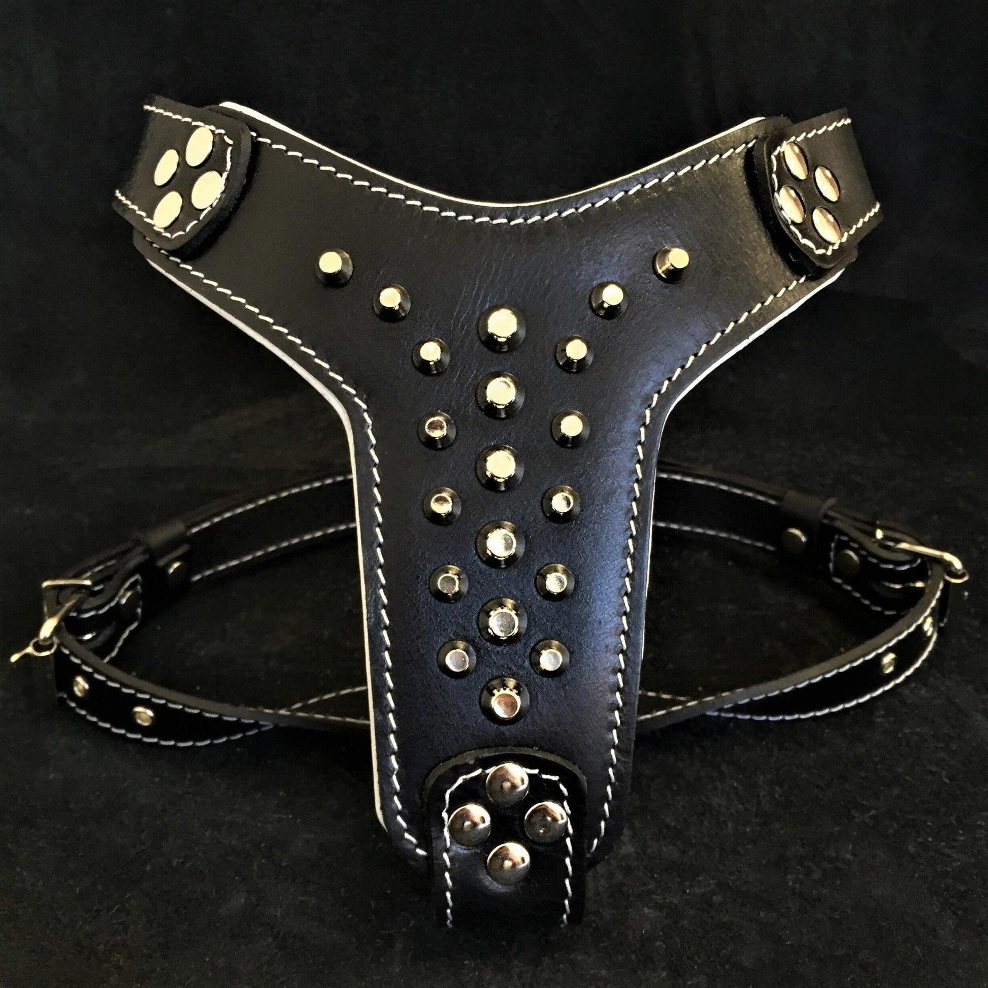 The "Rocky" studded leather harness Small to Medium Size Harnesses