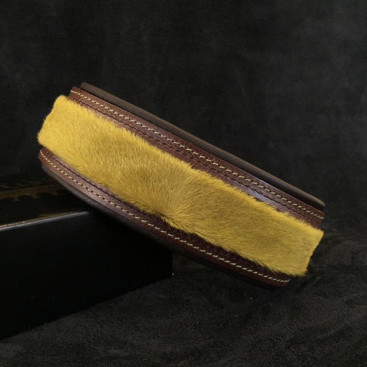 The ''Shrek'' collar Collars