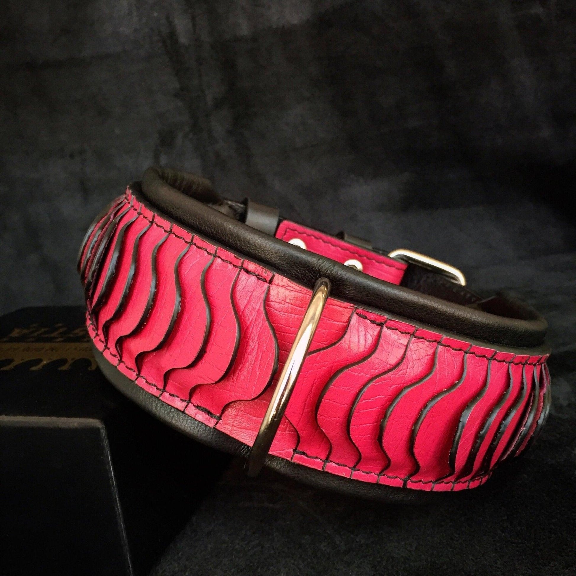 The „Spine“ collar Collars