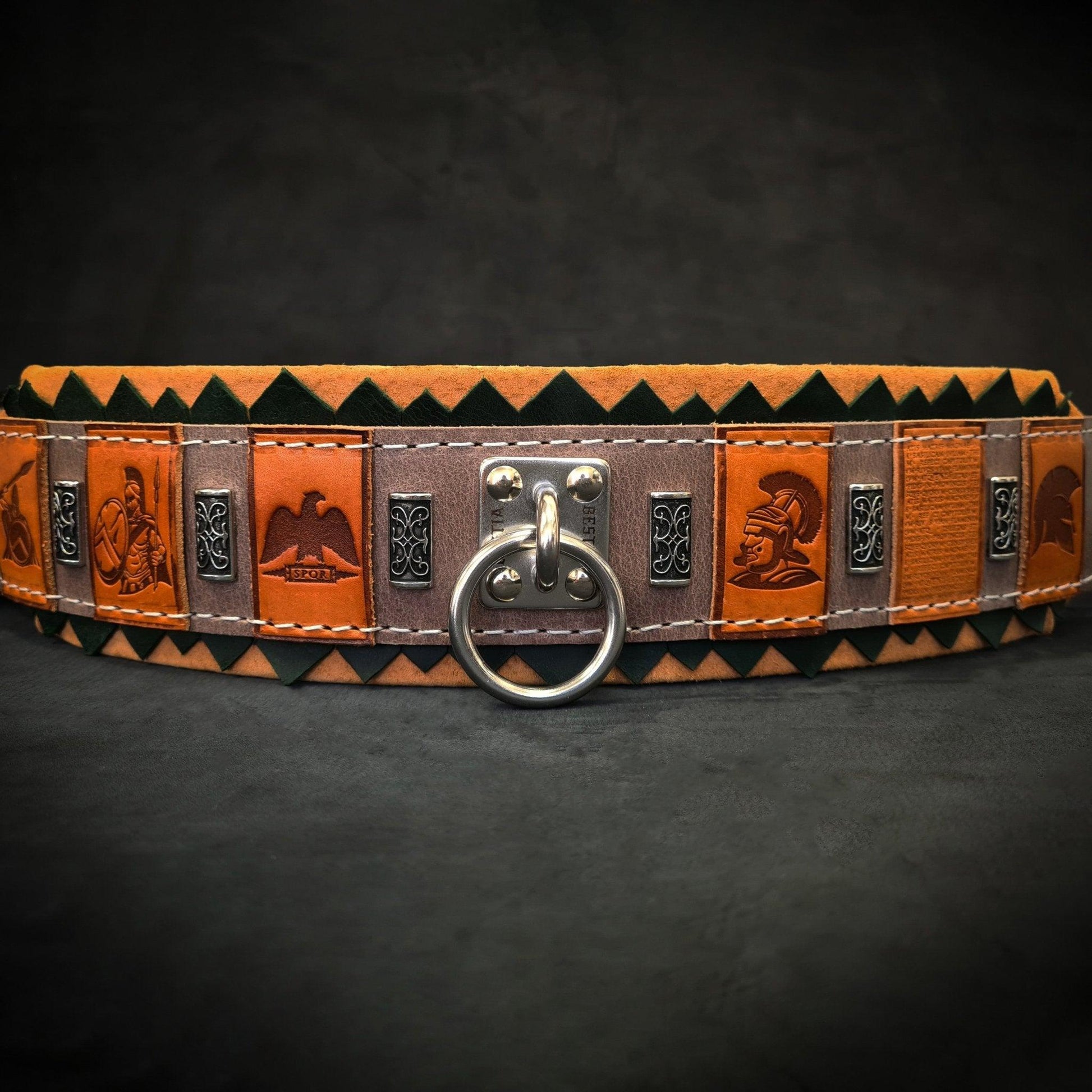 The ''SPQR'' Dog Collar Collars