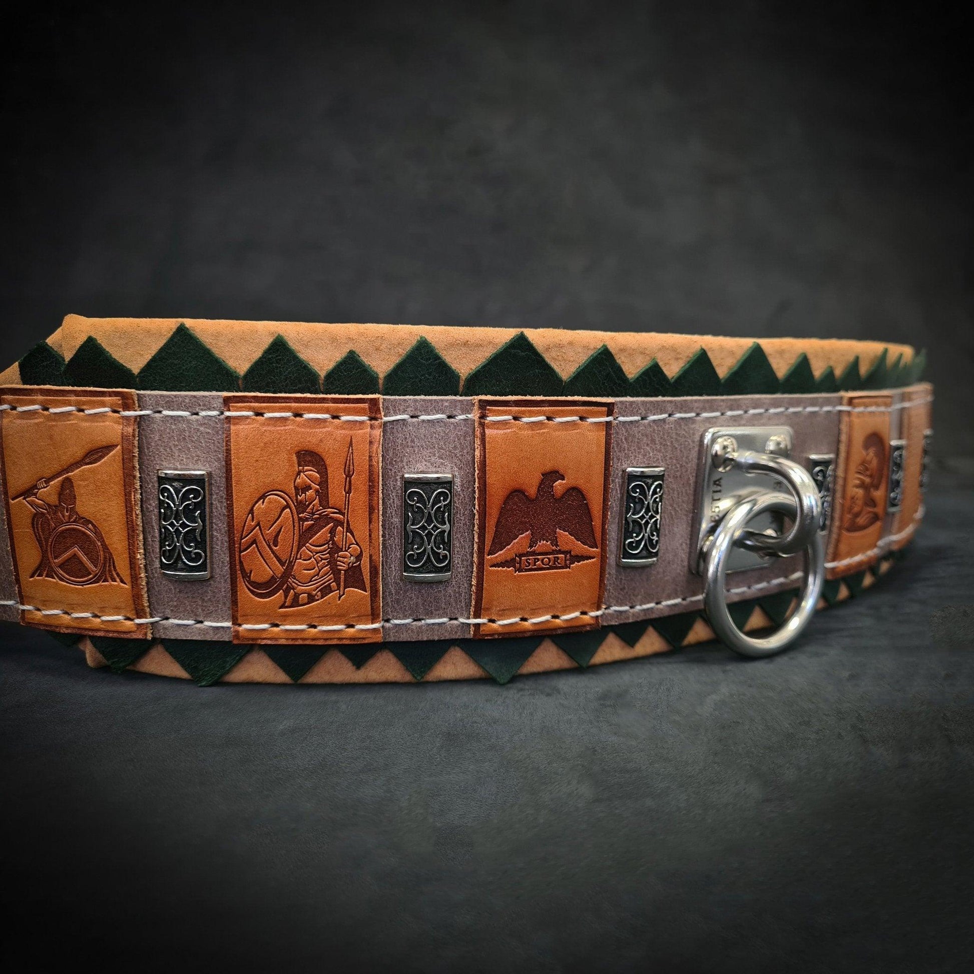 The ''SPQR'' Dog Collar Collars