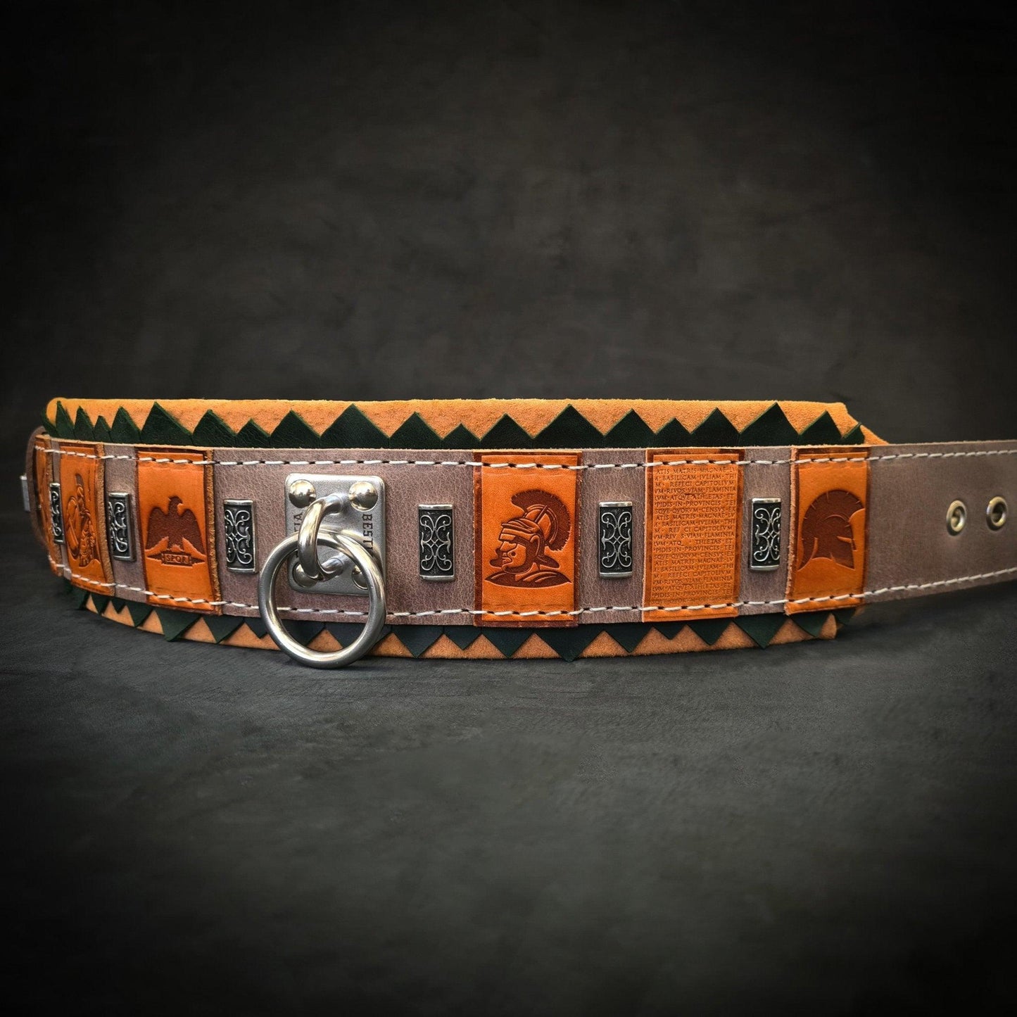 The ''SPQR'' Dog Collar Collars