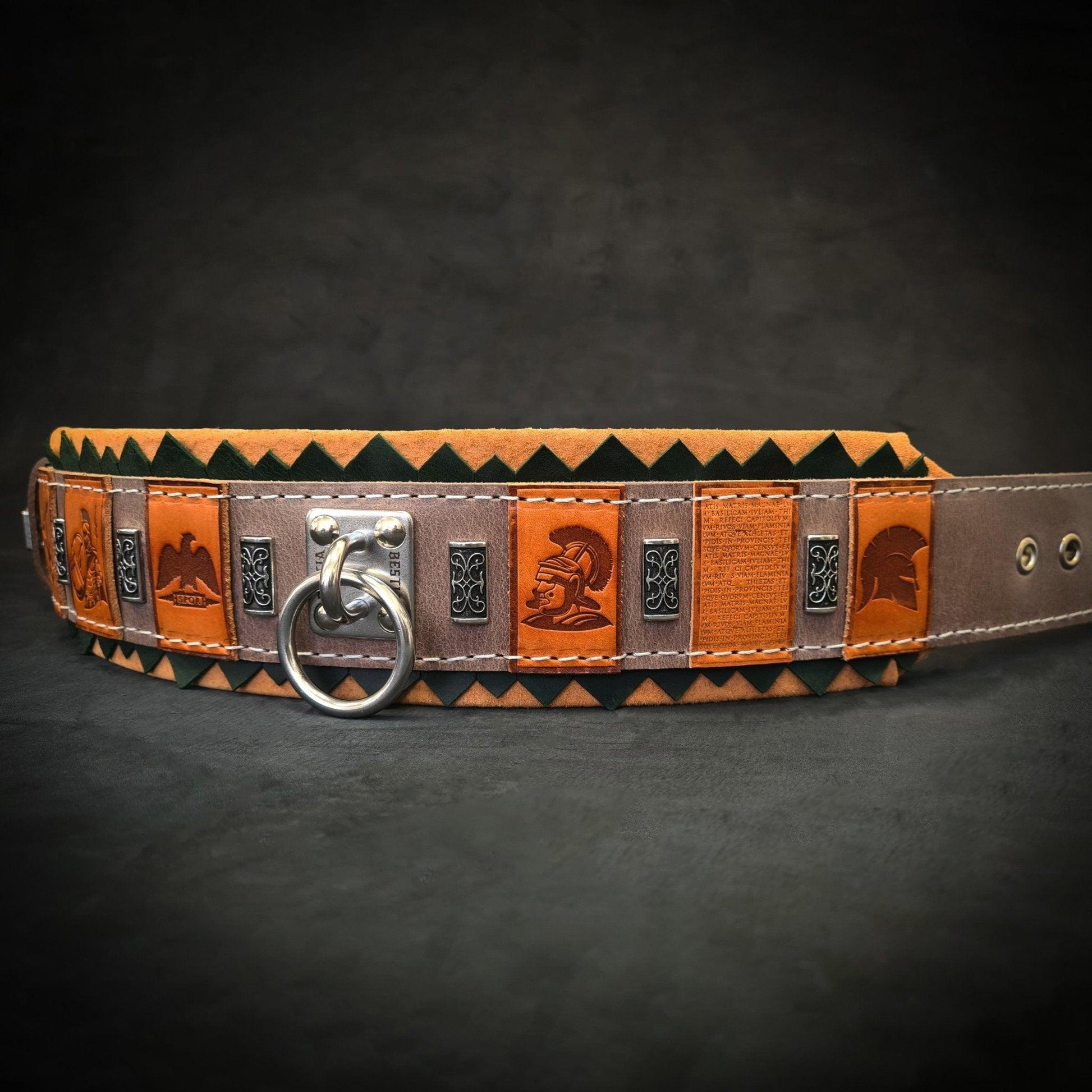 The ''SPQR'' Dog Collar Collars