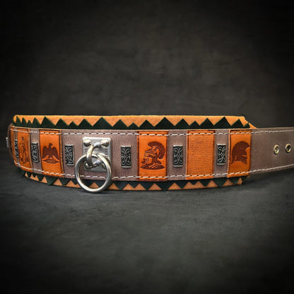 The ''SPQR'' Dog Collar Collars
