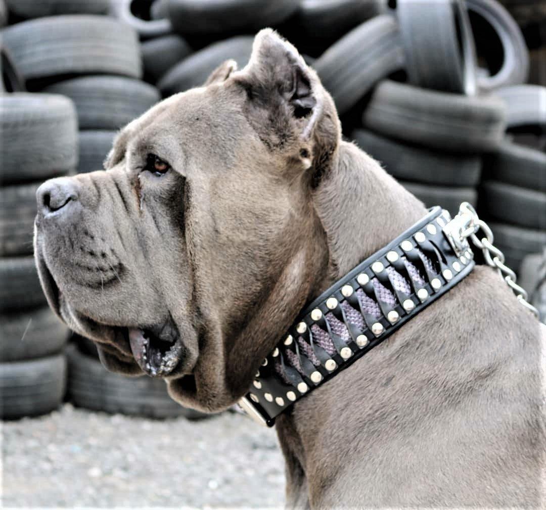 Steampunk Halsband  - exclusives Design