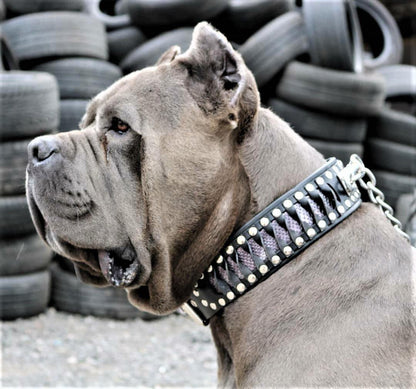 Steampunk Halsband  - exclusives Design