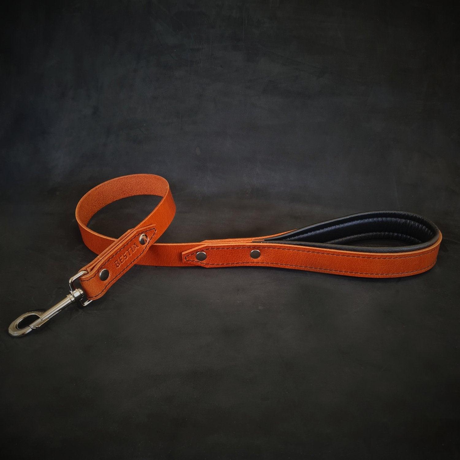 The "Style" leash Leads & Head Collars