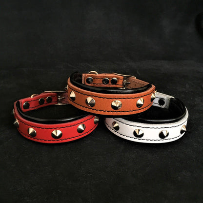 The „Superstar“ puppy dog collar Collars
