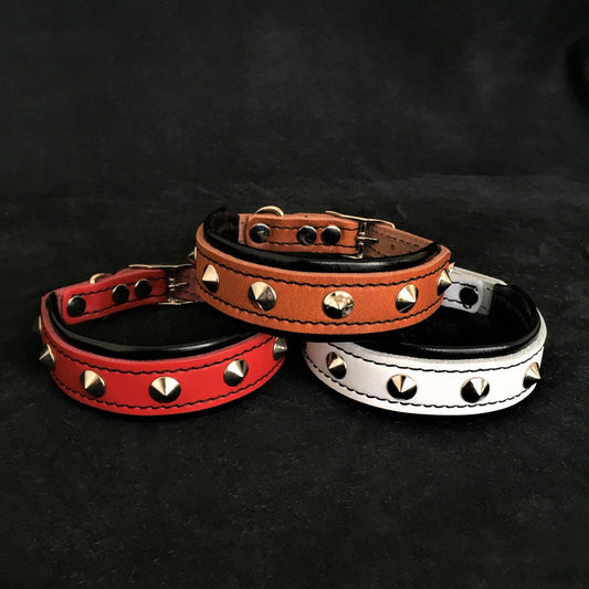 The „Superstar“ puppy dog collar Collars