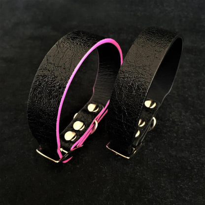 The „Taurus“ puppy collar Collars