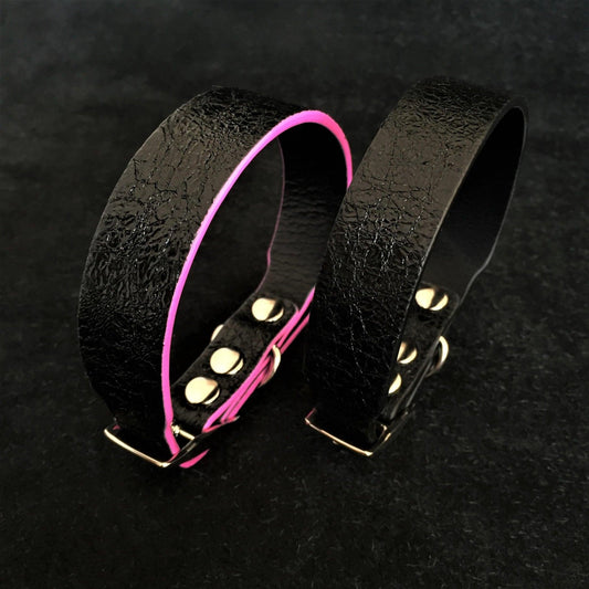 The „Taurus“ puppy collar Collars