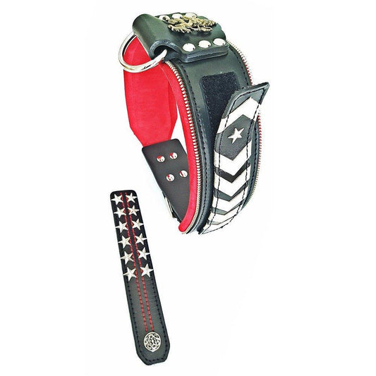 The unique "General" leather dog collar for big dogs Collars