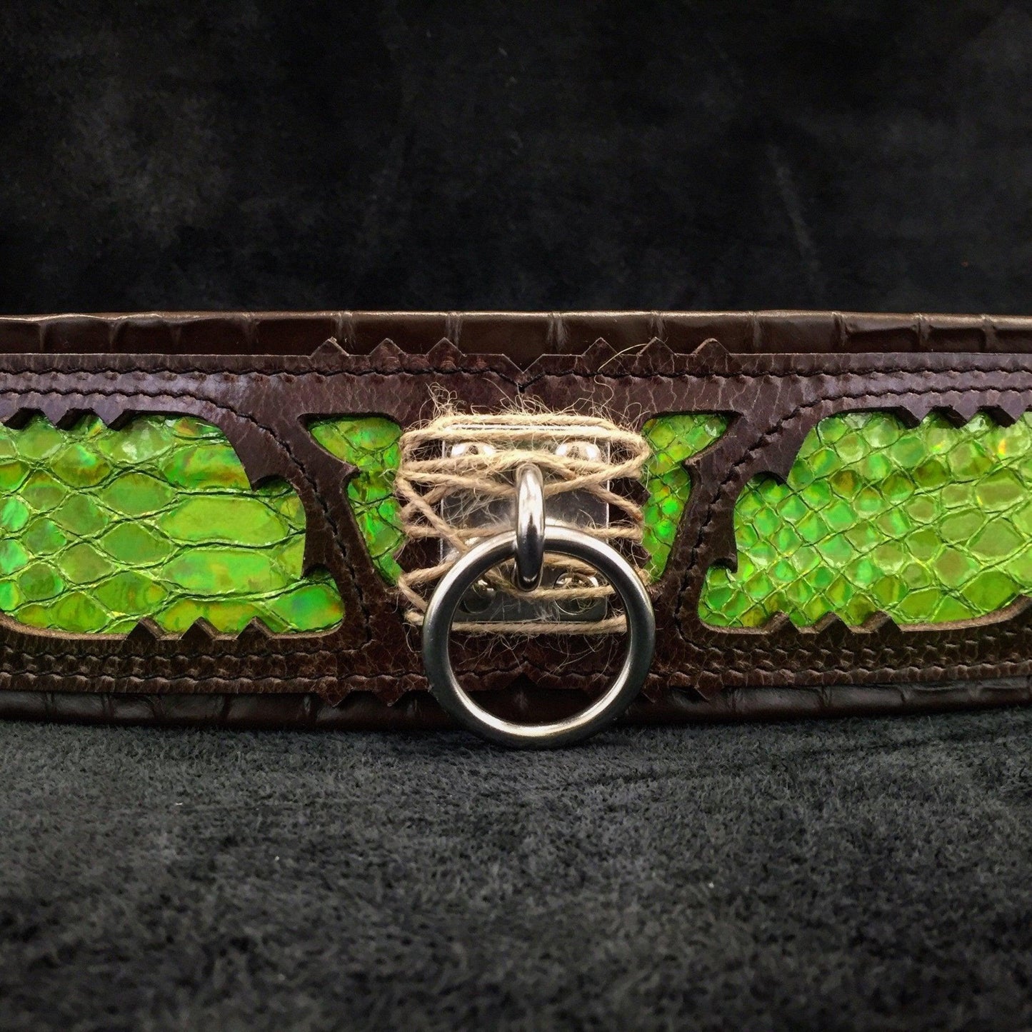 The „Venom“ collar Collars