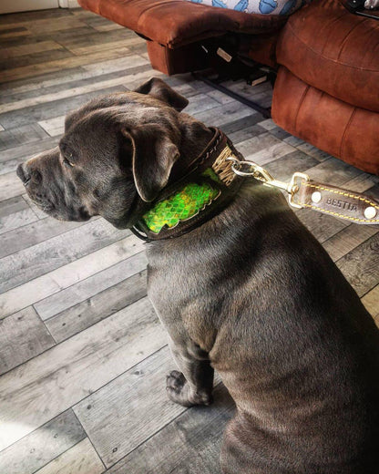 The „Venom“ collar Collars