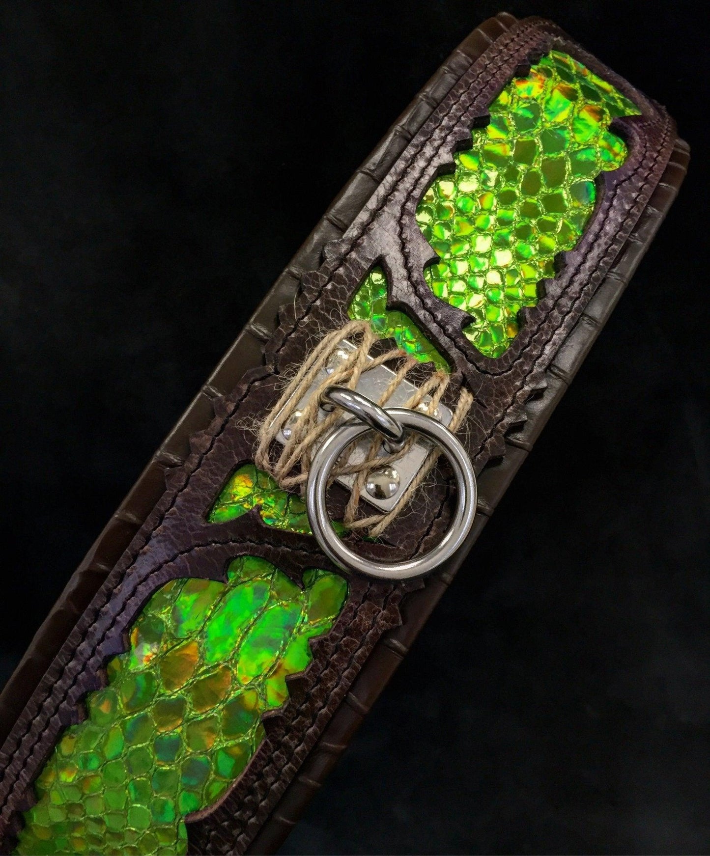 The „Venom“ collar Collars