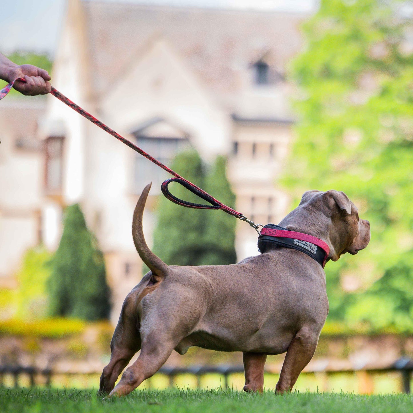 BESTIA DOG SPORT dual handle leash Red Camo - Bestia Collars