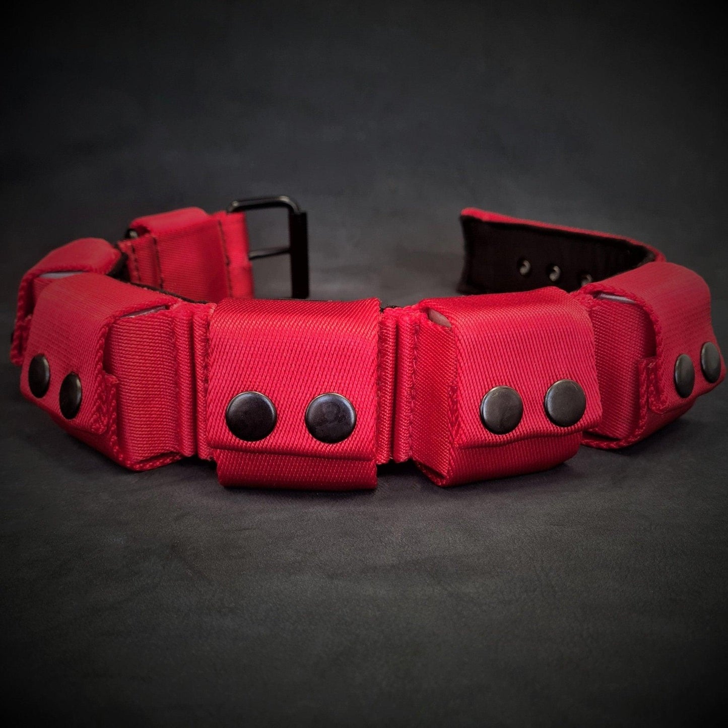 Weighted dog training collar- Red. Large breeds. 5 lbs total. removable weights Collars