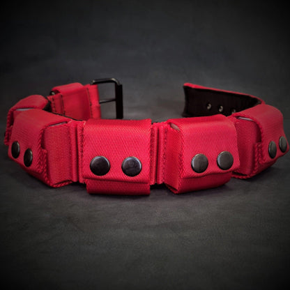 Weighted dog training collar- Red. Large breeds. 5 lbs total. removable weights Collars